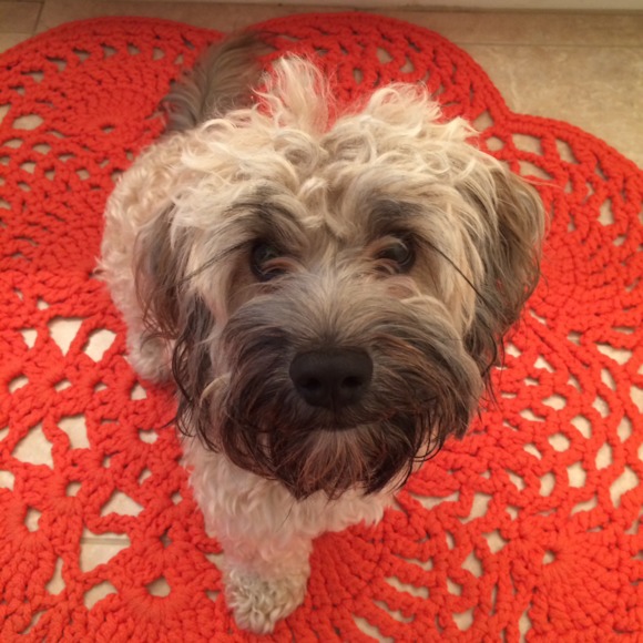 Meet your Posher, Kari - Picture 1 of 1